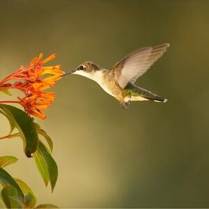 Vintage, '90s To Y2K Style, Designer & Silk Dresses